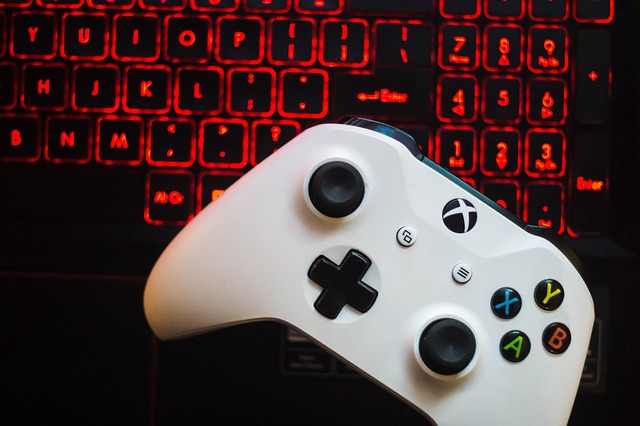 klávesnice a gamepad.jpg